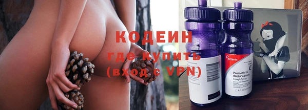 дмт Новодвинск