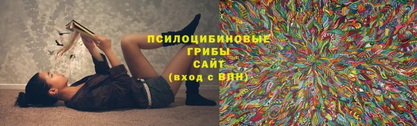 гидропоника Новокубанск