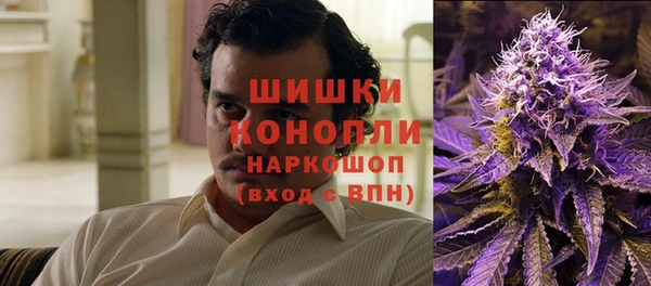 гидропоника Новокубанск
