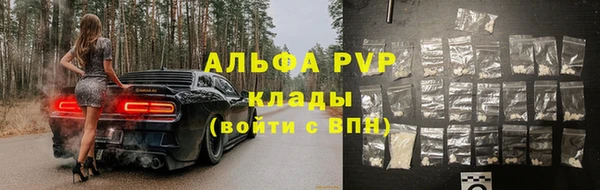 дмт Новодвинск