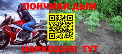 крисы Северобайкальск